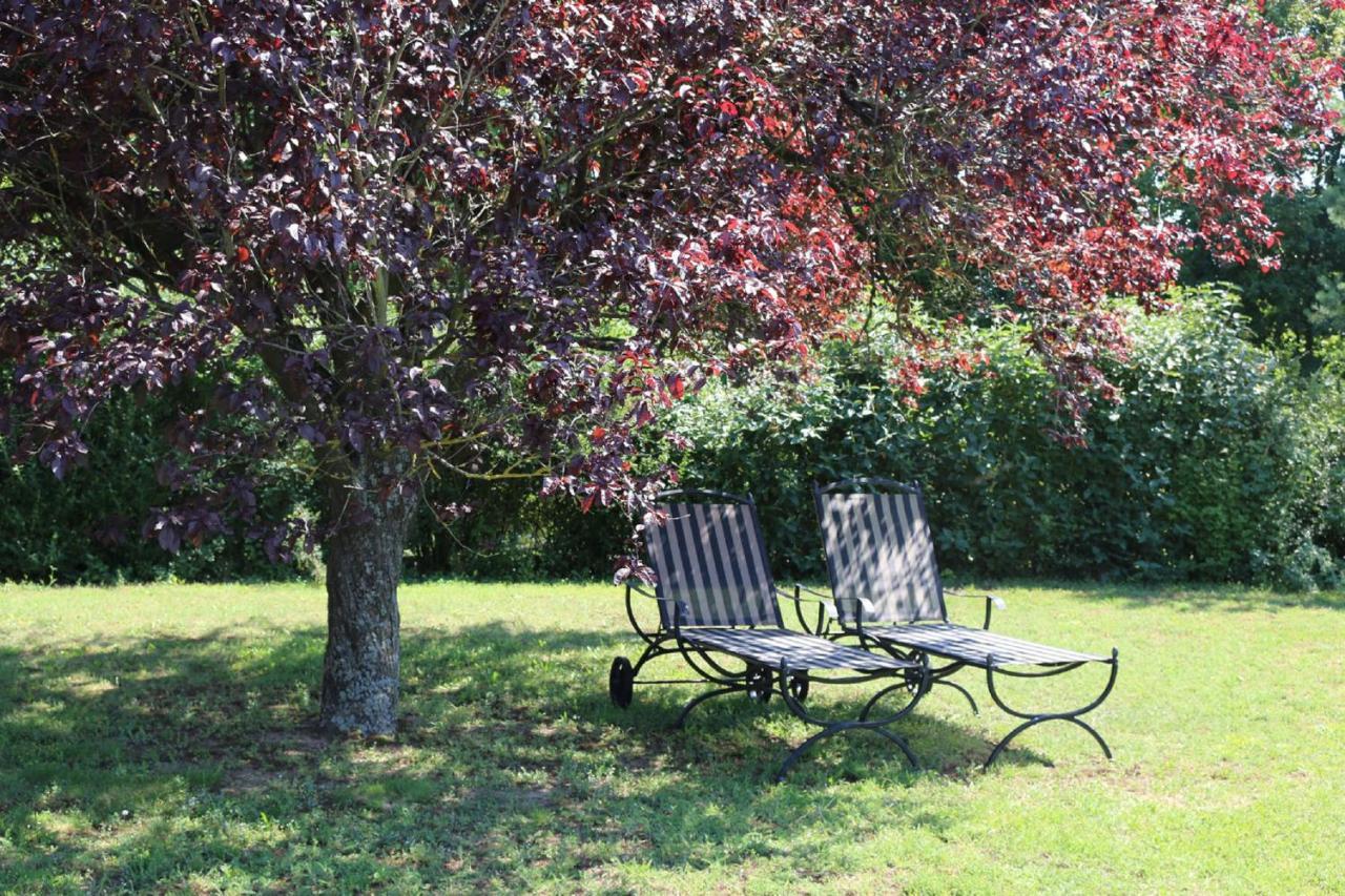 Schmitt Apartment Sommerach